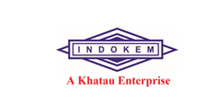 Indokem